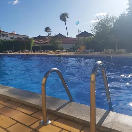 Apartment Sea Turtle - *