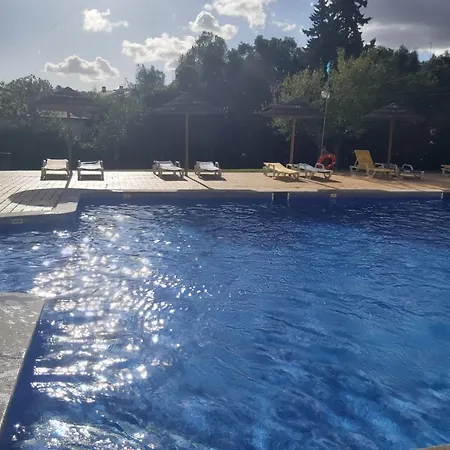 Sea Turtle - Apartment