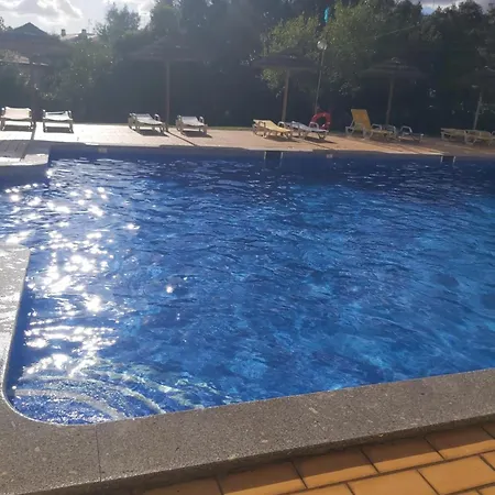 Sea Turtle - アルブフェイラ