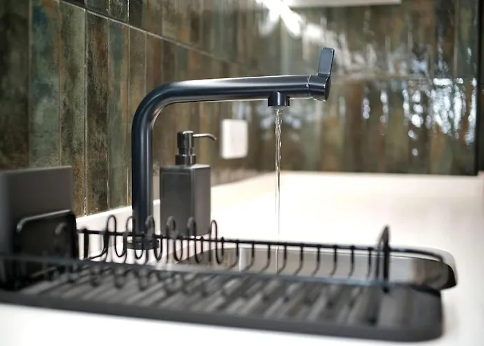 Sea Turtle - アルブフェイラ