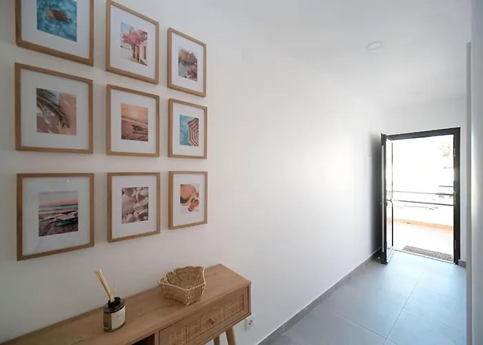 Sea Turtle - アルブフェイラ