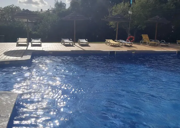 Sea Turtle - アパート