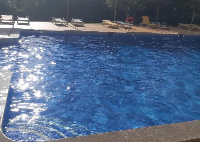 Sea Turtle - アルブフェイラ