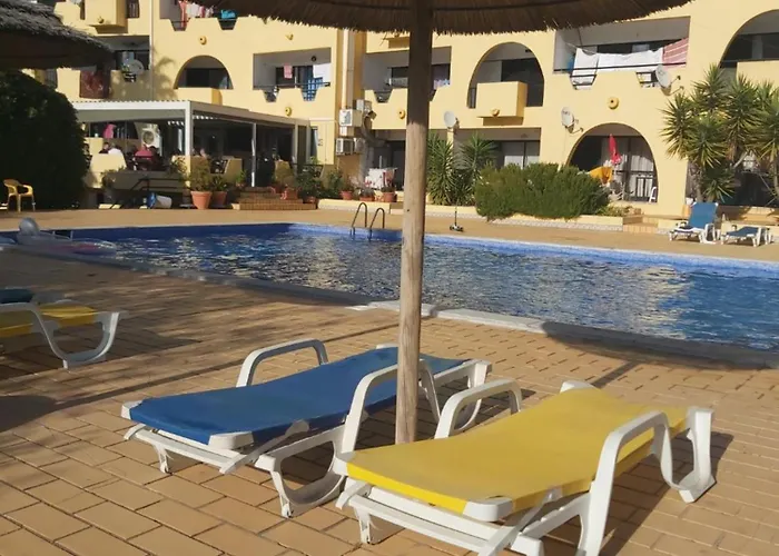 Sea Turtle - * アルブフェイラ