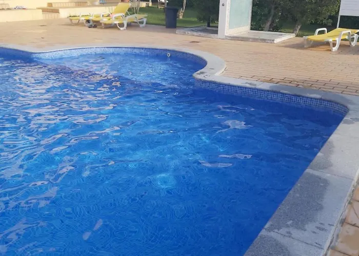 Sea Turtle - アパート アルブフェイラ